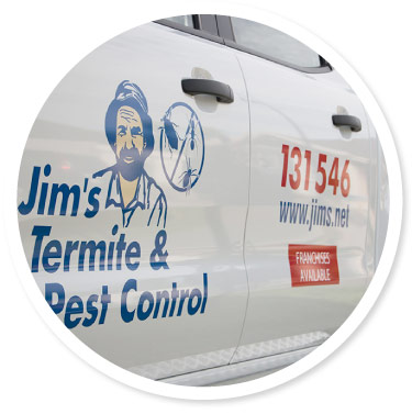 Pest Control Gold Coast