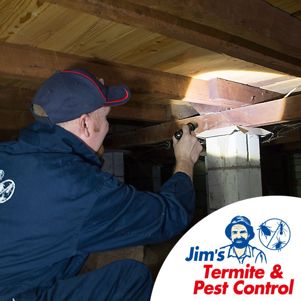Free Pest Control Quote - Contact Jim's Now For a Quote or Booking
