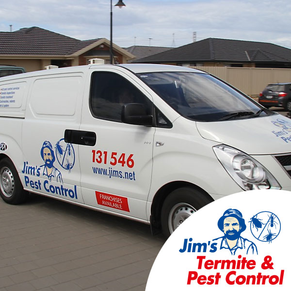 Pest Exterminators Gold Coast Call Jim's Pest Control on 131 546